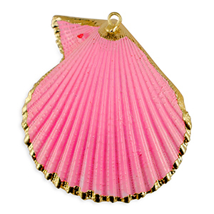 Shell pendants specials Scallop Pink