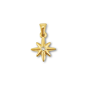Stainless steel charms star Gold