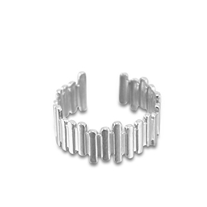 Stainless steel rings Silver
