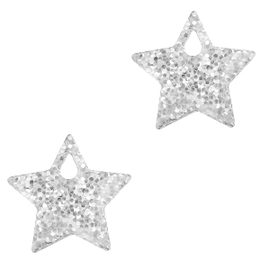 Plexx charms star glitter Silver