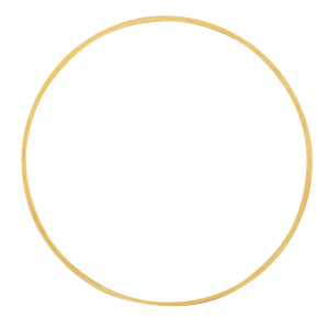 DQ European metal findings closed rings 40mm Gold (nickel free)