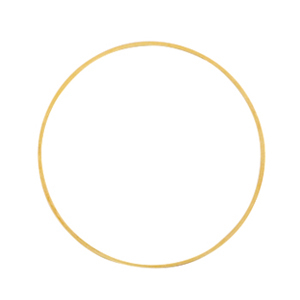 DQ European metal findings closed rings 25mm Gold (nickel free)