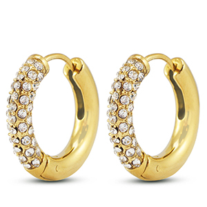 Stainless steel earrings / creoles Gold