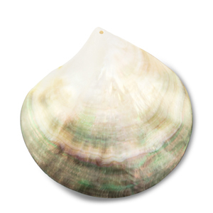 Shell pendants pearl oyster shell White (natural colour)-Light Brown-Dark Brown