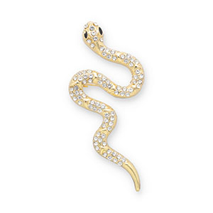 Brooches snake Gold-Transparent-Black