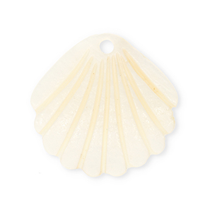 Shell pendants specials scallop White