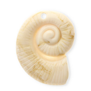 Acrylic charms shell Beige-Brown