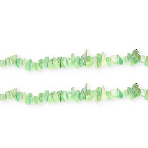 Shell beads chipstone Multicolour Green