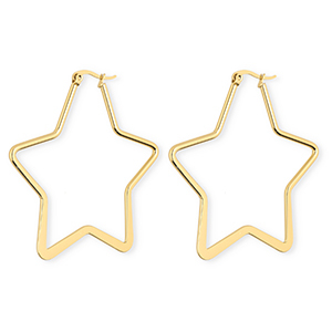 Stainless steel earrings&nbsp;/&nbsp;creoles star Gold
