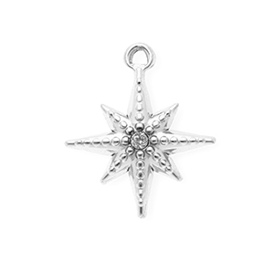 Stainless steel charms with strass star Silver-Crystal