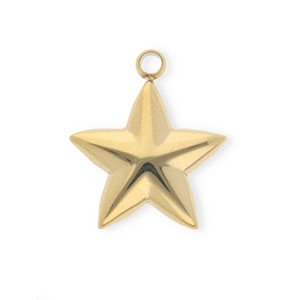 Stainless steel charms star Gold