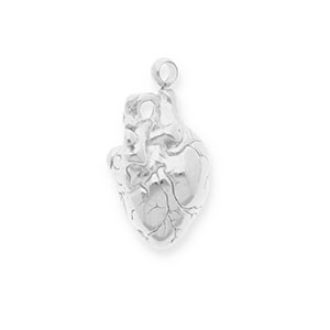Stainless steel charms anatomical heart Silver
