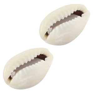 Cowrie shell pieces Ivory grey