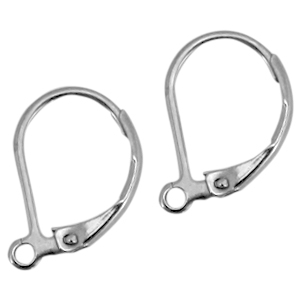 Stainless steel closable earrings Silver
